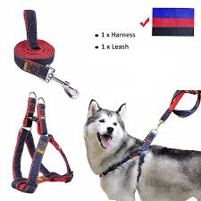 Yavru Kopek Yelek Kosum Kursun Seti Kovboy Traksiyon Ipi Guclu Tasma Kopek Tasmasi Oyuncak Pet Egitim Malzemeleri Buyuk Kopekler Kosum Large Dog Harness Puppy Dog Harnessdog Harness Aliexpress