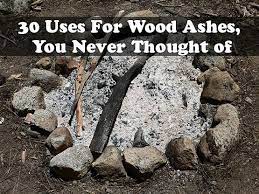If You Have A Fireplace Or Fire Pit Full Of Wood Ashes And Would Like To Find A More Useful Purpose For Them Than Simply Ash Wood Uses For Ashes