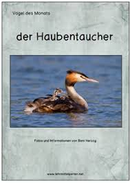 Pin Auf Lehrmittel Boutique Free