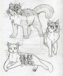 warrior cats set 17 by kasarawolf on deviantart warrior cats warrior cats art warrior cats books warrior cats set 17 by kasarawolf on
