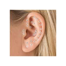 Maybe you would like to learn more about one of these? Cuantos Piercings Te Puedes Hacer En La Oreja Segun Pinterest 8 O Mas