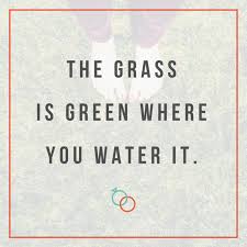 It's a great saying that keeps us aware that we tend to compare ourselves and think that other people have it better. The Grass Is Green Where You Water It Freshly Married