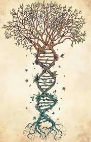 20 Amazing Tree Of Life Tattoos With Meanings Body Art Guru