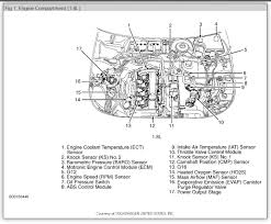 The mkiv jetta 1.8t engine may have. Diagram Vw Gti 1 8t Engine Diagram Full Version Hd Quality Engine Diagram Sywiring Villaroveri It
