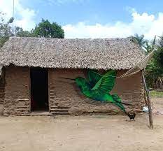 Casa de pau a pique com sua... - ENQUANTO ISSO NO MARANHÃO | Facebook