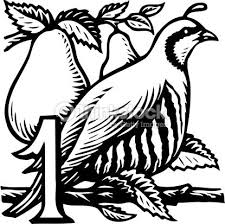 A partridge in a pear tree illustration, adult coloring book 2016, adult coloring page, best illustrated food blogs, color me seasonal, food illustrator paris, illustrated food blog leave a comment on color me seasonal: 41 Partridge In A Pear Tree Ideas Pear Partridge Tree