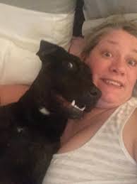 Love my baby. The best dog we have ever had.