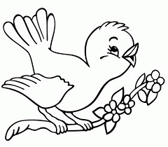 Free printable peacock coloring pages. Coloring Pages Peacock Coloring Home
