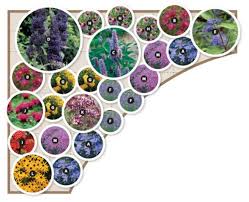 Butterfly Garden Ideas Gardening Pinterest Butterfly Garden Design Flower Garden Layouts Butterfly Garden