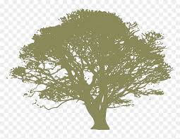 Download Dark Blue Oak Tree Svg Clip Arts Silhouette Big Tree Vector Hd Png Download Vhv