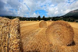 Image result for arte commerciale
