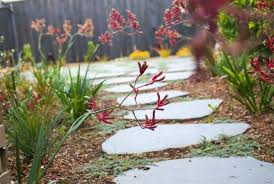 Choose the bluestone paver that suits your landscaping and the design of your hardscaping project. Bluestone Rounds 30mm Ave Size 800x600 Unit Stonehub