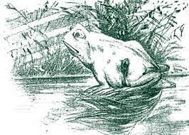 Enjoycoloring.com is the site for cash advance. Frog Or Horse Abstract Artwork Drawings Optical Illusions
