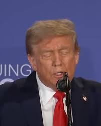 Robyn Swift (@rnswift)