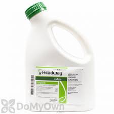 We did not find results for: Headway Fungicide