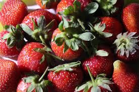 Common varities of seedless fruits include watermelons,tomatoes,grapes(such as termarina rossa)and bananas. 14 Things You Didn T Know About Strawberries Food Republic