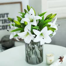 We did not find results for: Hot 5 Pieces Home Living Room Decor White Pink 30cm Real Touch Plastic Lily Wedding Events Party Favor Artificial Flowers Hot Sale F5b922 Goteborgsaventyrscenter