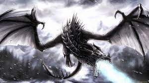 We did not find results for: Black Dragon Wallpapers 70 Background Pictures