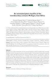 Image result for Diaphananthe sarcophylla