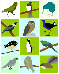 New Zealand Native Birds Foundation Paper Pieced Quilt Patterns Bird Drawings Bird Quilt Bird Art