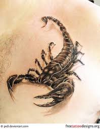There are several hundred variations possible. 99 Scorpion Tattoos Scorpio Tattoo Designs Scorpio Tattoo Scorpion Tattoo Scorpio Zodiac Tattoos