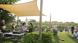 Sunset Music at the Wine Stand - CandyShop