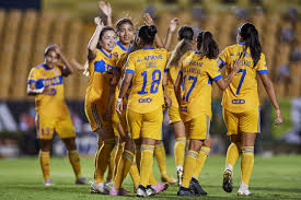 We did not find results for: Tigres Femenil Vs Chivas Femenil Grada3 Com