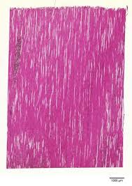 Image result for Euclea undulata