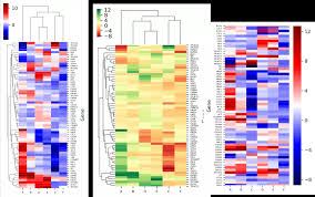 Image result for bioinformatics heatmap