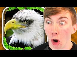 EAGLE SIMULATOR (iPhone Gameplay Video)