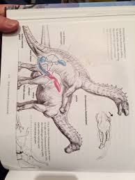 The collection of easy cool things to draw has circled the earth numerous times, each piece contained being very much appreciated across social media, inviting each and every drawing enthusiast to a attempt the beautiful tutorial through numerous sketches till practice sculpted towards perfection. Jon Tennant On Twitter So Palaeontologists Draw Some Weird Things In Books At Times Also Full Points For That Species Name 2016svp