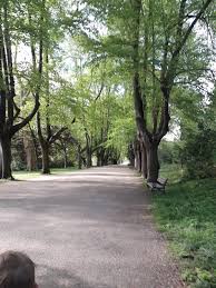 Botanischer garten rombergpark ist eine deutsche park mit sitz in dortmund botanischer garten rombergpark befindet sich in der am rombergpark, 44225 dortmund, deutschland. Botanischer Garten Rombergpark Ruhrpottlady Net
