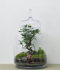 We did not find results for: Greenlabs Von Green Factory Paris The Golden Rabbit Beste Gartengerate Fur Gartenliebhaber