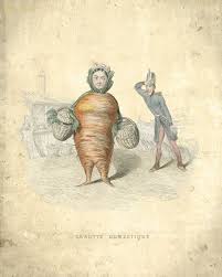 Kitchen Humor Vintage Print 10 Domestic Carrot Vegetables Etsy Vintage Prints Vintage Kitchen Humor