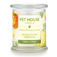Furever loved pet memorial candles are a way to remember our pets that have crossed the rainbow bridge. One Fur All 100 Natural Soy Wax Candle Pet Odour Eliminator Up To 60 Hours Burn Time Non Toxic Reusable Glass Jar Scented Candles Pet House Candle Fresh Citrus Buy Online