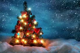 Bagi pemuda ibadah dapat berfungsi: Contoh Susunan Liturgi Perayaan Hari Natal Pewarta Indonesia