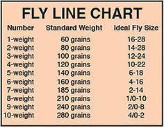 Image Result For Fly Rod And Reel Wt To Hook Size Chart