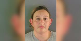 From tragedy to triumph: 5-year-old German Shepherd embraces new life