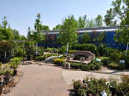 Flowers in minot nd these net stores across a variety of flowers that we can look at before we order. Lowe S Garden Center