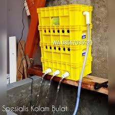 Pembuatan filter kolam (filter external, filter internal, pre filter, surface skimmer, sieve filter, uv filter), media filter (bioball, japmat, matala, karbon aktif, batu zeolit) jasa pembuatan filter kolam & konsultasi kolam. Jual Filter Kolam Ikan Koi 4susun Berkualitas Jakarta Timur Arabelle Lita Tokopedia