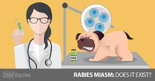 Rabies Vaccination And Aggression In Dogs Dogs Naturally