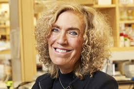 2024 Louis V. Gerstner, Jr. Graduate School of Biomedical Sciences  Commencement and Memorial Sloan Kettering Cancer Center Academic  Convocation