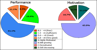 pie chart of performance and motivation assessment showing