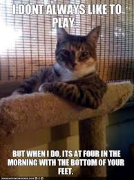 And If You Don T Let Me Sleep With You I Ll Meow At The Door All Night Until You Let Me In To Play With Your Feet Cute Animals Cat Memes Cats