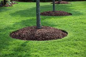 This ensures the mulch is free from foreign parasites and diseases. Free Mulch In Los Angeles Lasprinklerrepair Com
