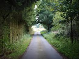 / buy the full digital album. Der Weg Nach Hause Foto Bild Landschaft Wege Und Pfade Natur Bilder Auf Fotocommunity
