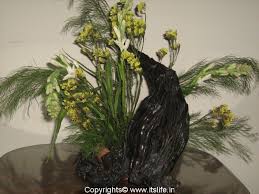 Repeat a few times giving it a light mist spray each time to preserve the natural beauty of the wood. Wood Arrangement How To Preserve Drift Wood Drift Wood Arrangement