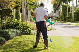 Government canyon state natural area. Accurate Pest Control Home Facebook