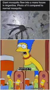 .giant mosquito has a creature grabbed; Cant Blame Her Album On Imgur