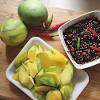 Jun 03, 2021 · setelah sambal merah dibuat, masukkan irisan mangga. Https Encrypted Tbn0 Gstatic Com Images Q Tbn And9gcreet K7xowbhfgrfgwo Cmkyhlo9vffo4cl9d8nd0 Usqp Cau